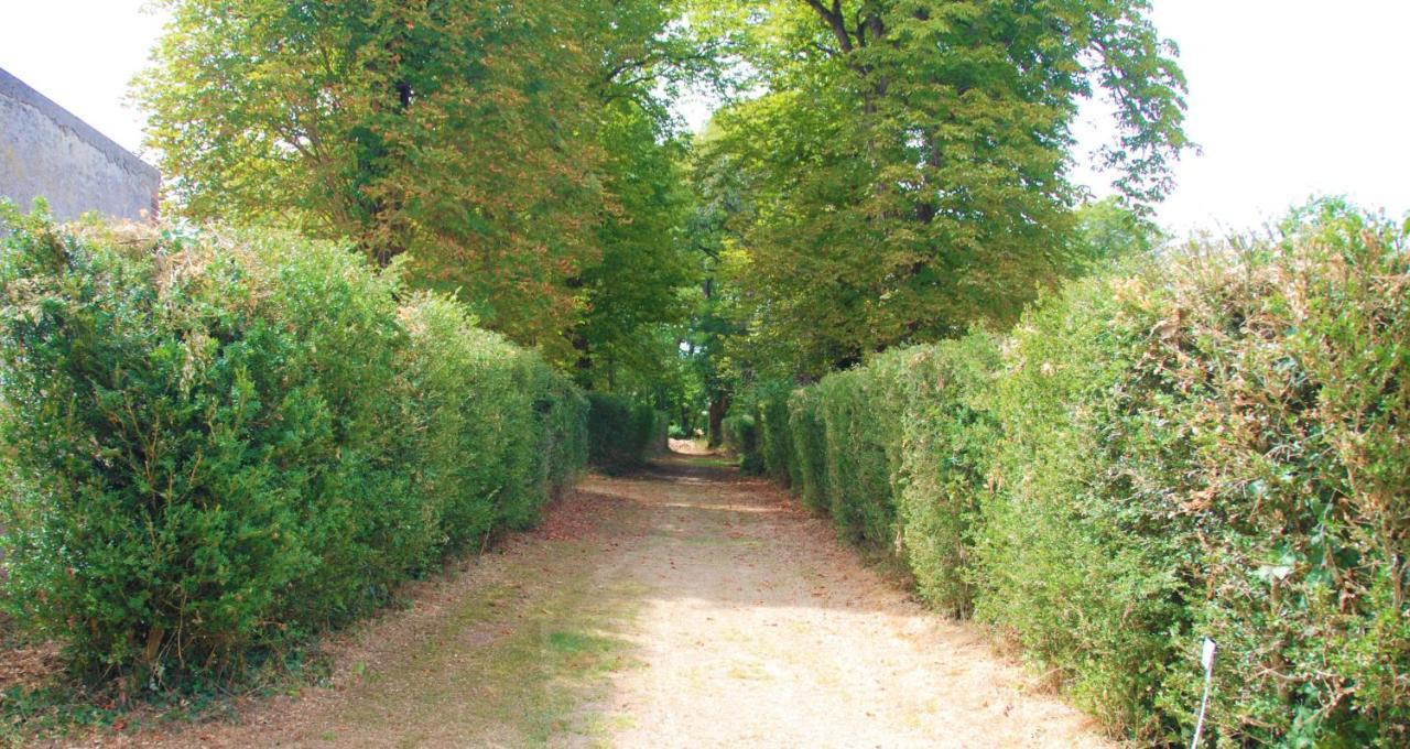 Chateau Igny La Perche エクステリア 写真