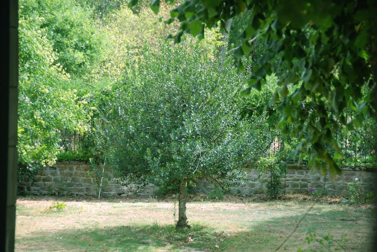 Chateau Igny La Perche エクステリア 写真