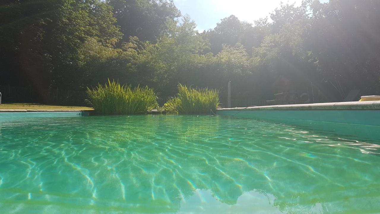 Chateau Igny La Perche エクステリア 写真